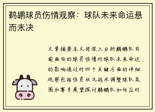 鹈鹕球员伤情观察：球队未来命运悬而未决